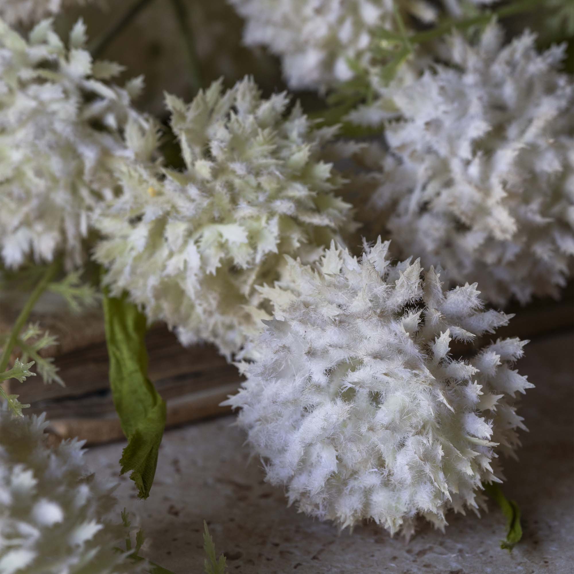 Artificial Melaleuca, Cream – Large faux stem with softly spiky cream flower heads.

