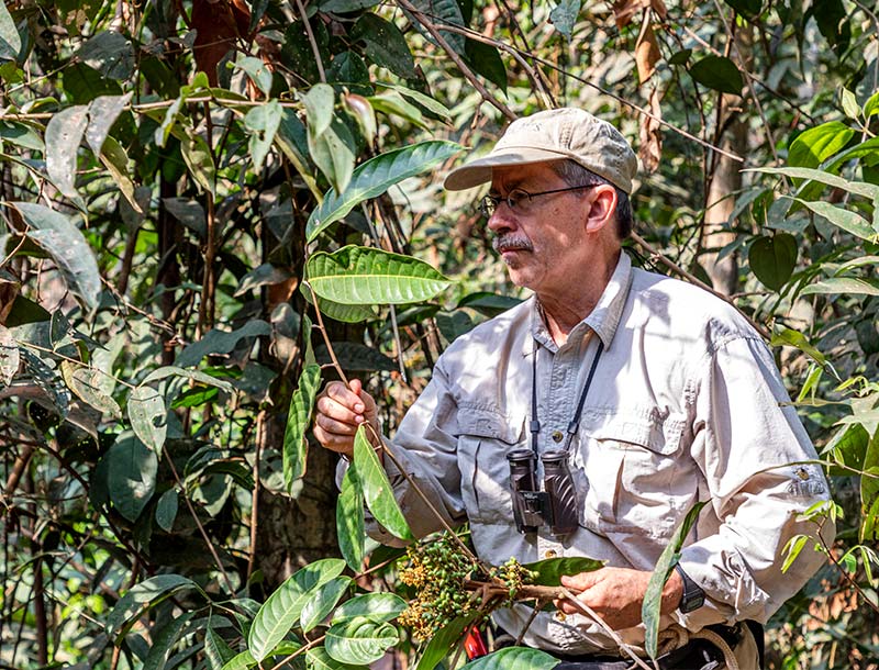 Man outside surrounded by botanicals