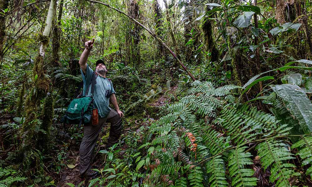 Man outdoors researching plants