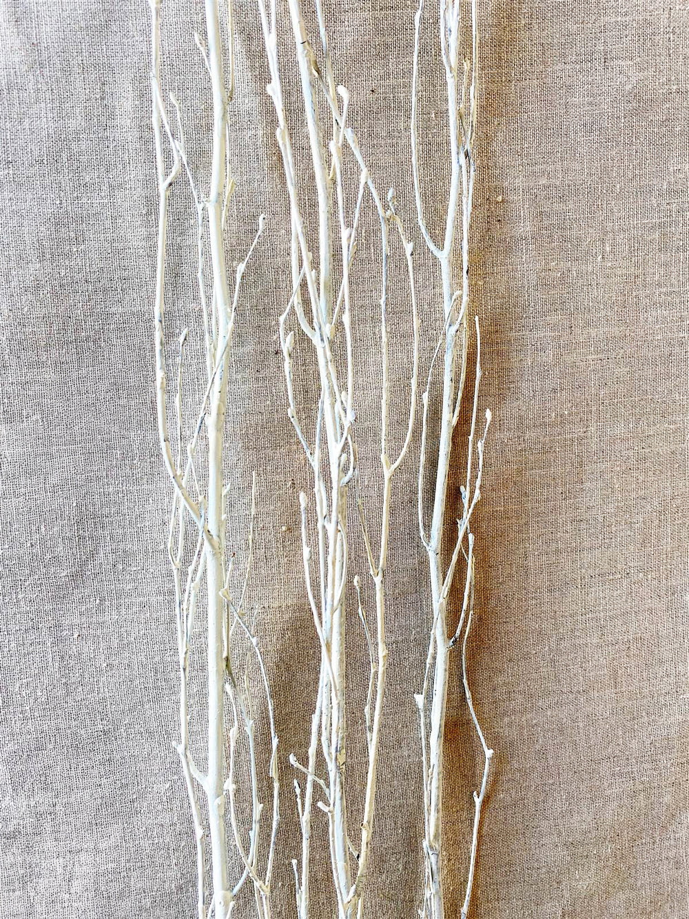 Dried White Birch Branches with natural texture for vases or seasonal centerpieces