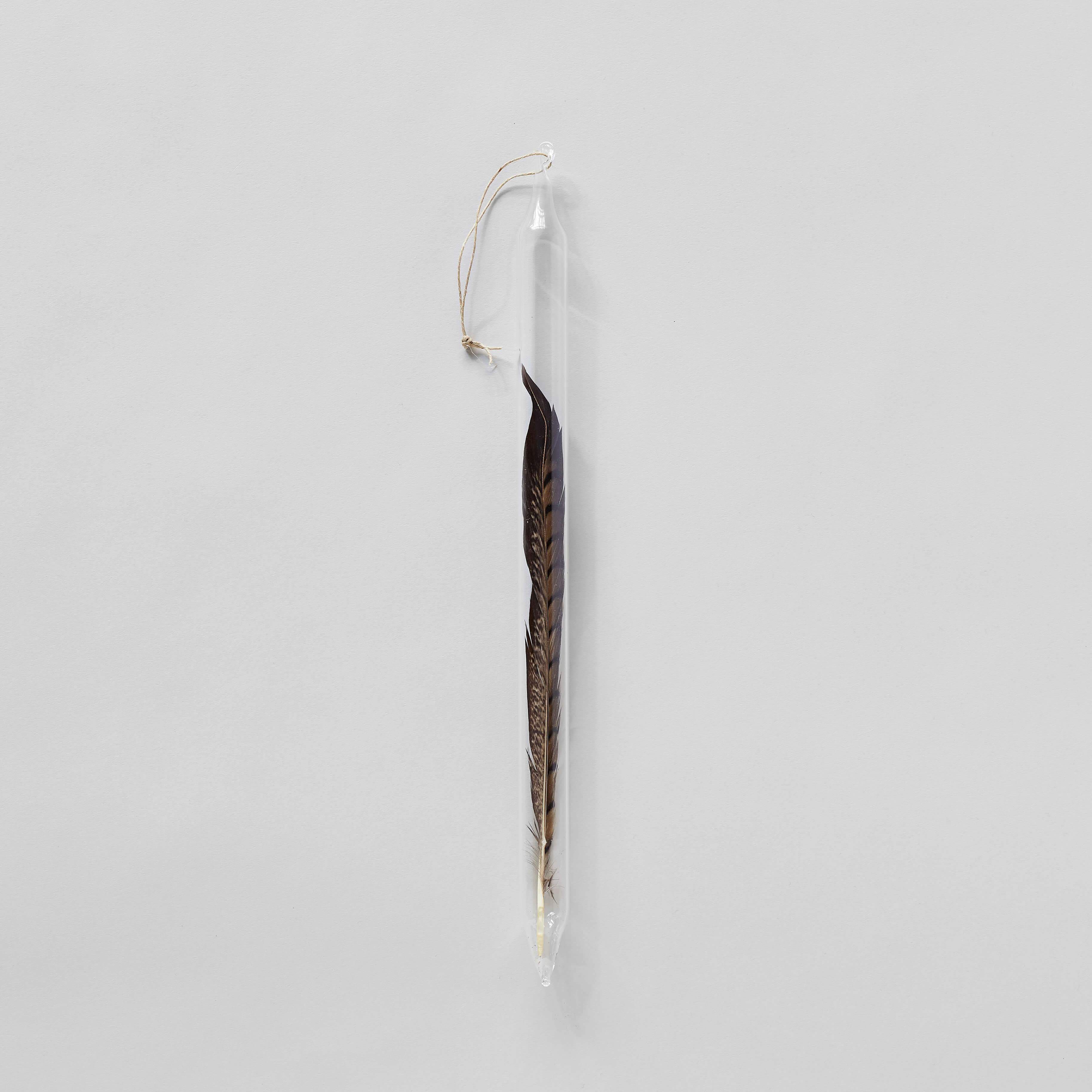Glass encapsulation with pheasant feather foraged element by Laura Kramer