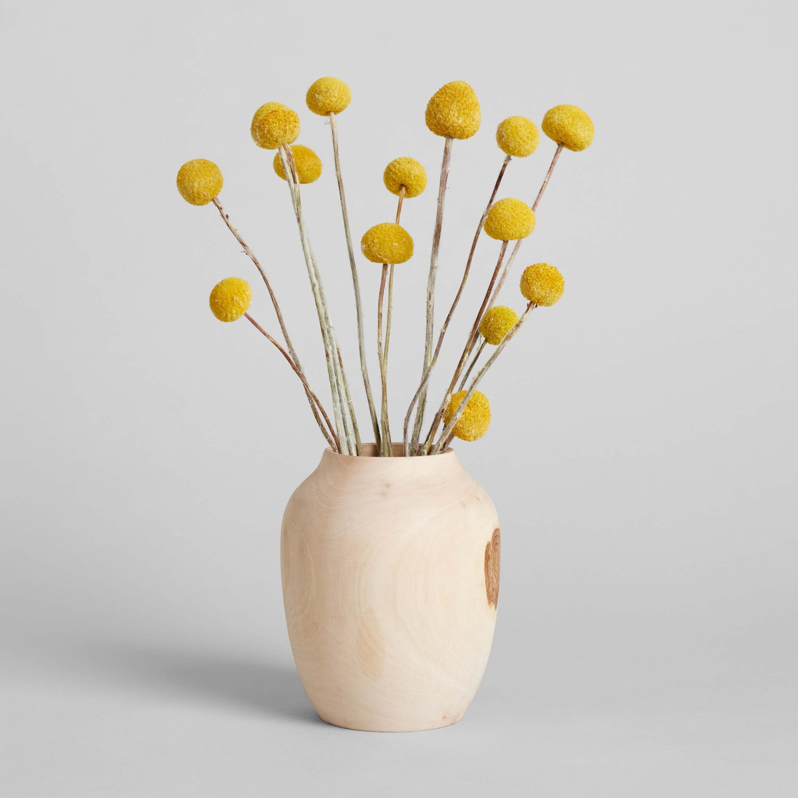 Rounded walnut wood vase for dried botanicals or stems